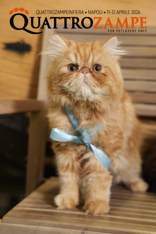 Concorso Fotografico - QuattroZampe in Fiera - Napoli - Aprile 2026