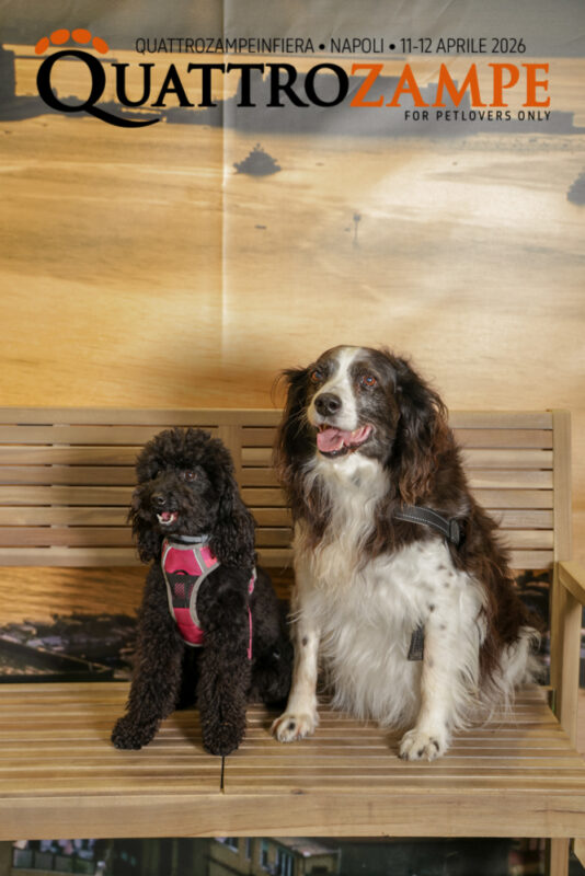 Concorso Fotografico - QuattroZampe in Fiera - Napoli - Aprile 2026