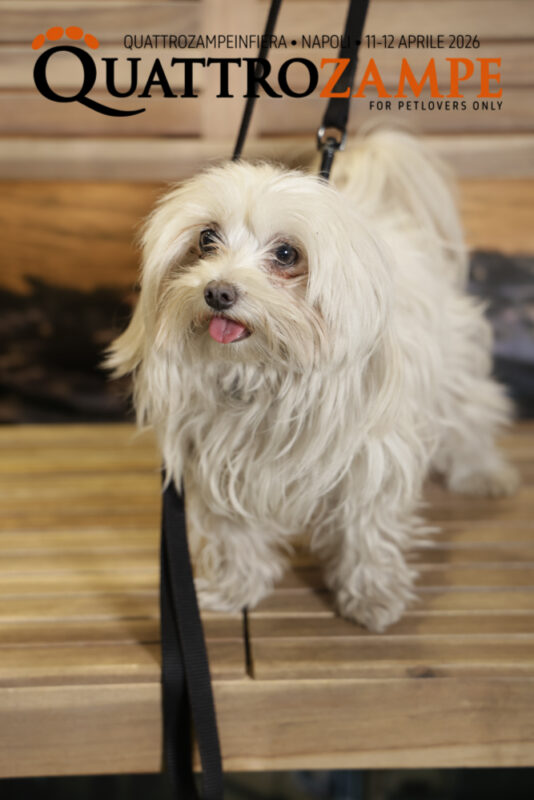 Concorso Fotografico - QuattroZampe in Fiera - Napoli - Aprile 2026