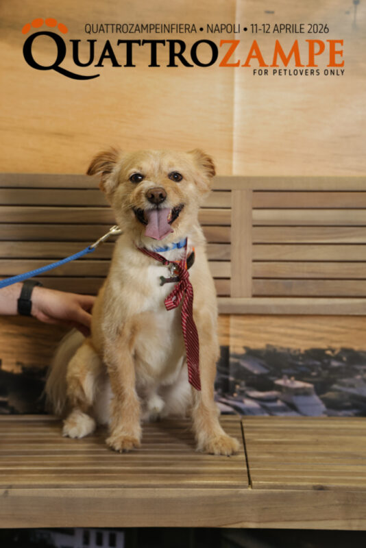 Concorso Fotografico - QuattroZampe in Fiera - Napoli - Aprile 2026