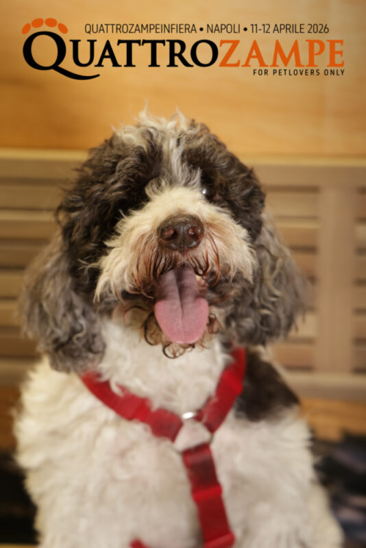 Concorso Fotografico - QuattroZampe in Fiera - Napoli - Aprile 2026