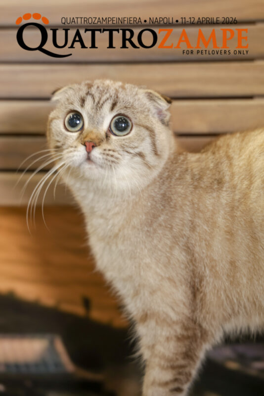 Concorso Fotografico - QuattroZampe in Fiera - Napoli - Aprile 2026