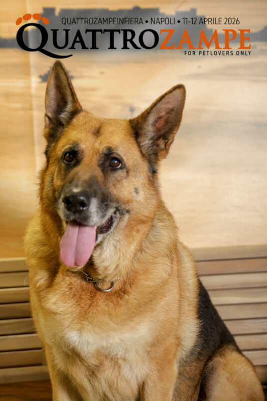 Concorso Fotografico - QuattroZampe in Fiera - Napoli - Aprile 2026