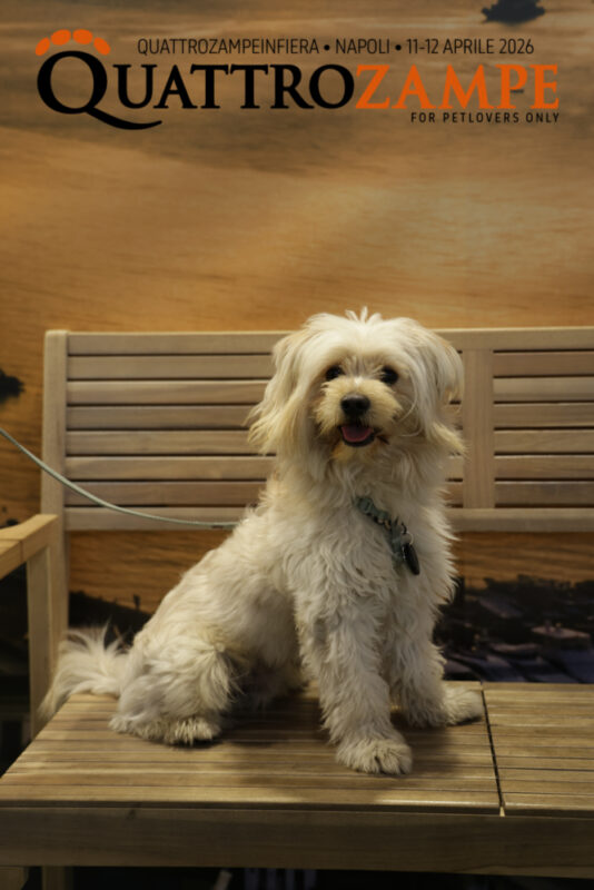 Concorso Fotografico - QuattroZampe in Fiera - Napoli - Aprile 2026