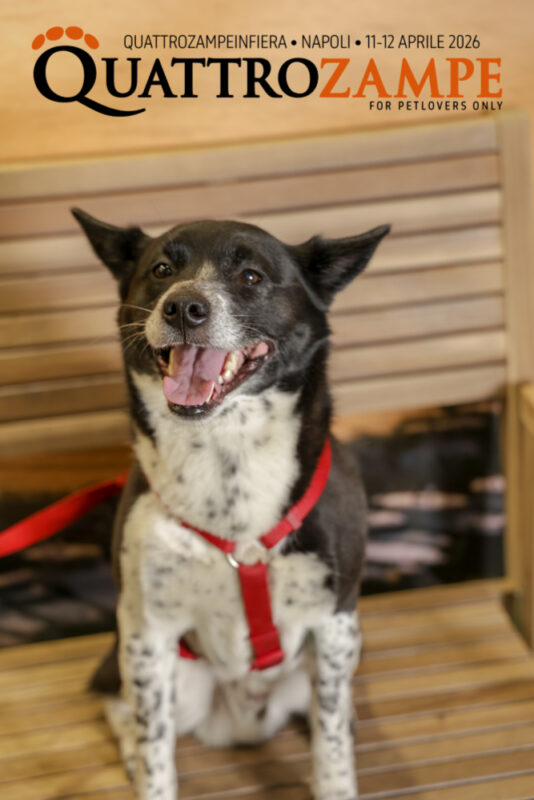 Concorso Fotografico - QuattroZampe in Fiera - Napoli - Aprile 2026