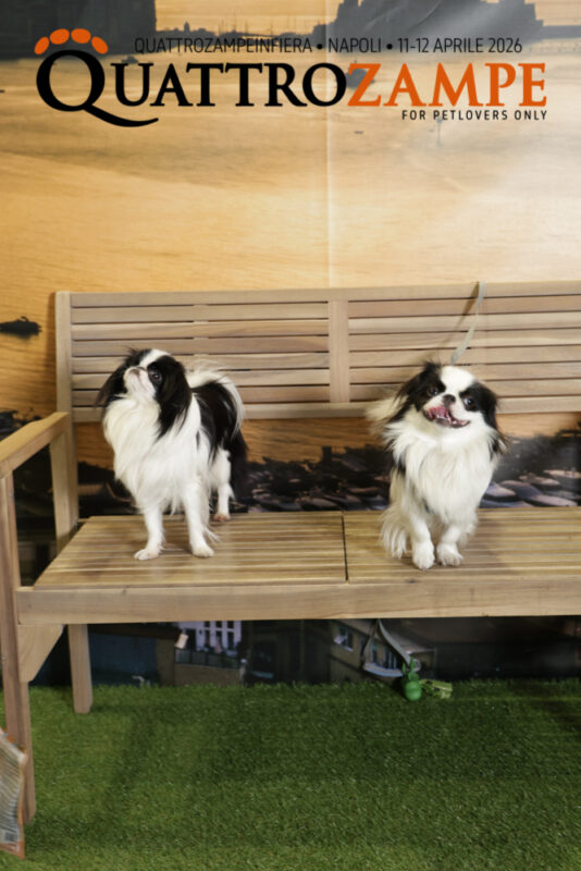 Concorso Fotografico - QuattroZampe in Fiera - Napoli - Aprile 2026