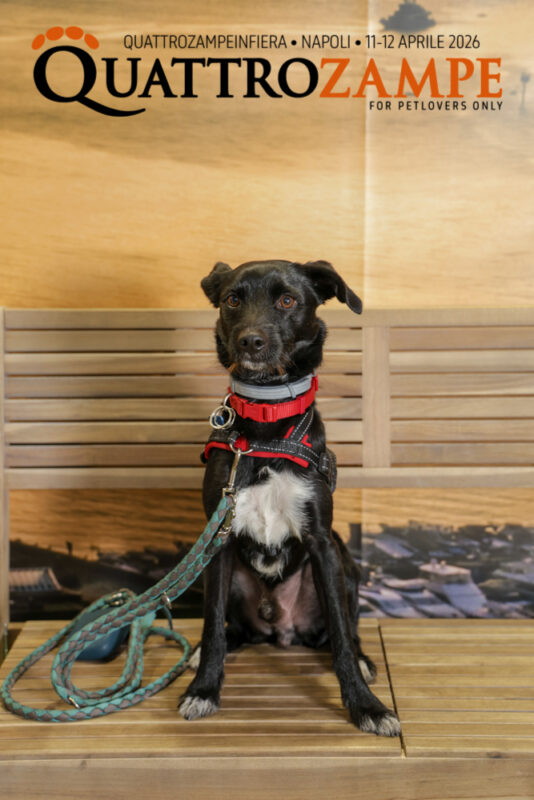 Concorso Fotografico - QuattroZampe in Fiera - Napoli - Aprile 2026