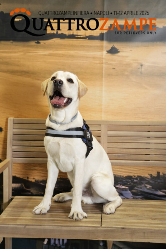 Concorso Fotografico - QuattroZampe in Fiera - Napoli - Aprile 2026