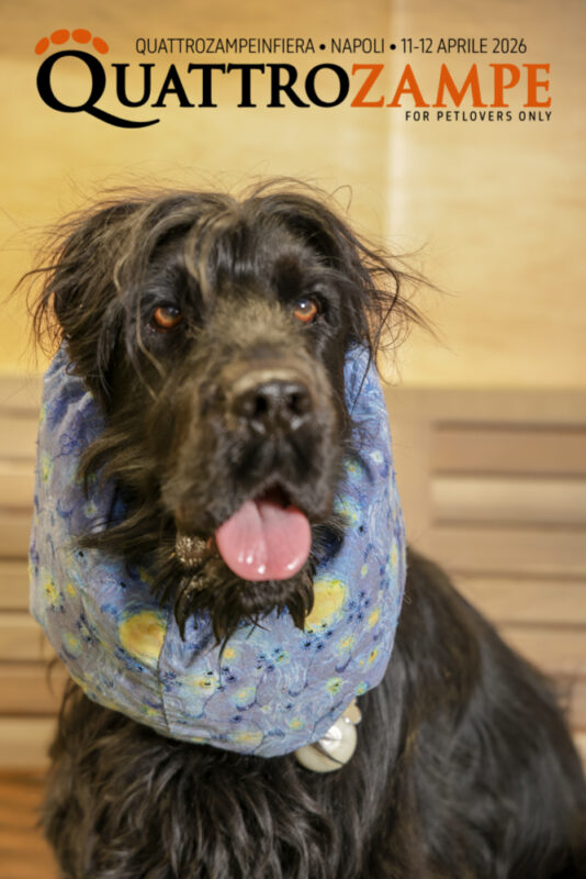 Concorso Fotografico - QuattroZampe in Fiera - Napoli - Aprile 2026