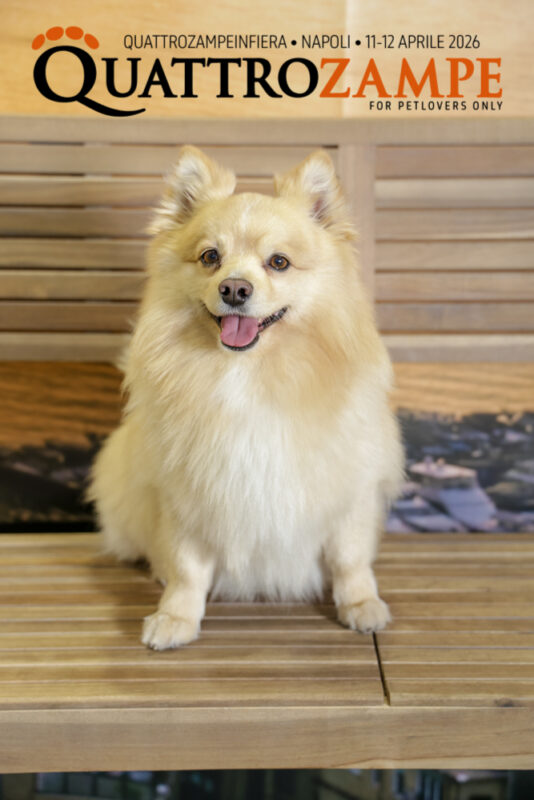 Concorso Fotografico - QuattroZampe in Fiera - Napoli - Aprile 2026