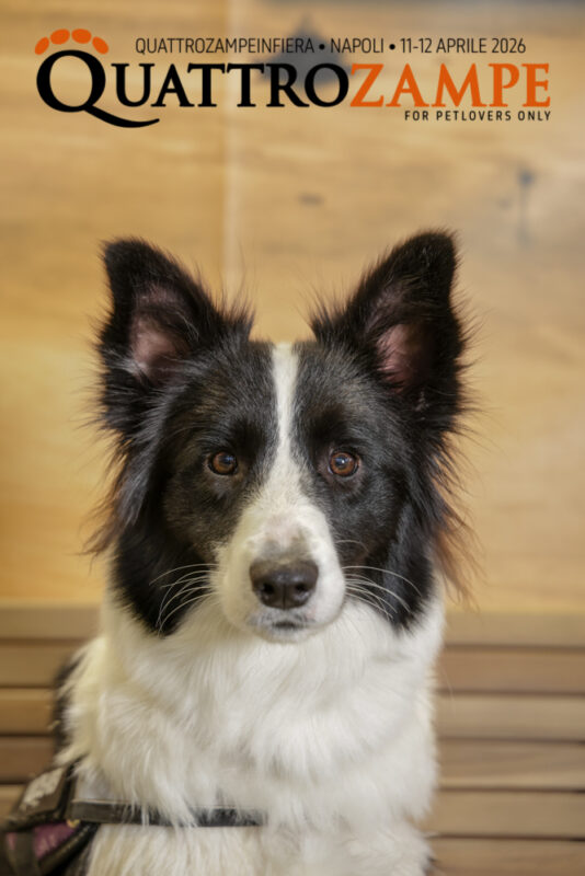 Concorso Fotografico - QuattroZampe in Fiera - Napoli - Aprile 2026