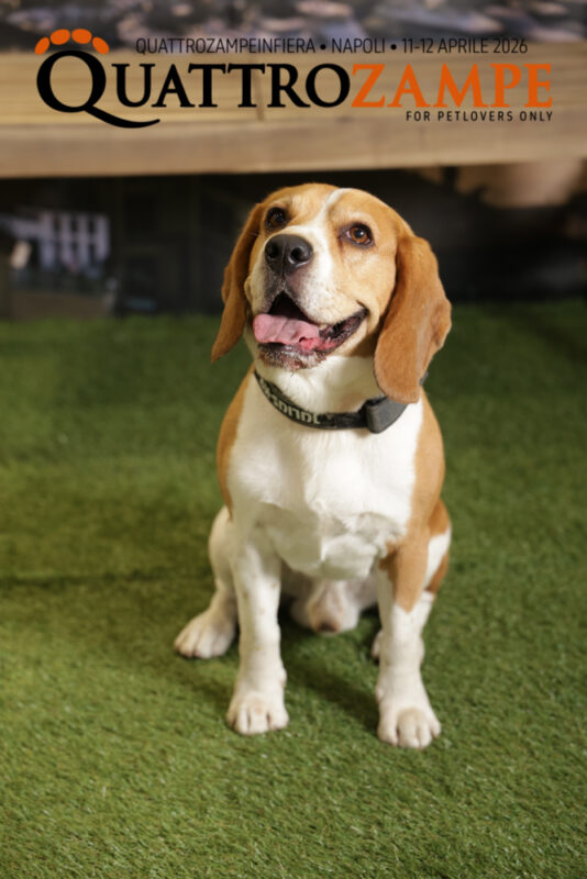 Concorso Fotografico - QuattroZampe in Fiera - Napoli - Aprile 2026