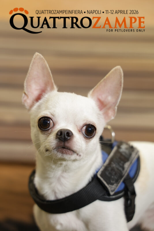 Concorso Fotografico - QuattroZampe in Fiera - Napoli - Aprile 2026