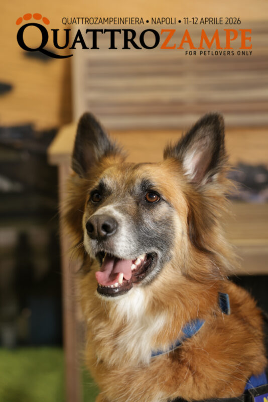 Concorso Fotografico - QuattroZampe in Fiera - Napoli - Aprile 2026