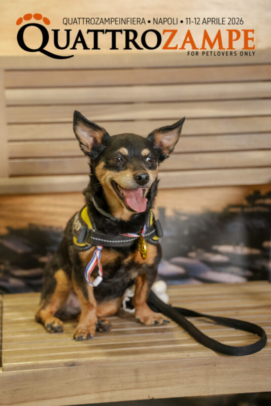 Concorso Fotografico - QuattroZampe in Fiera - Napoli - Aprile 2026