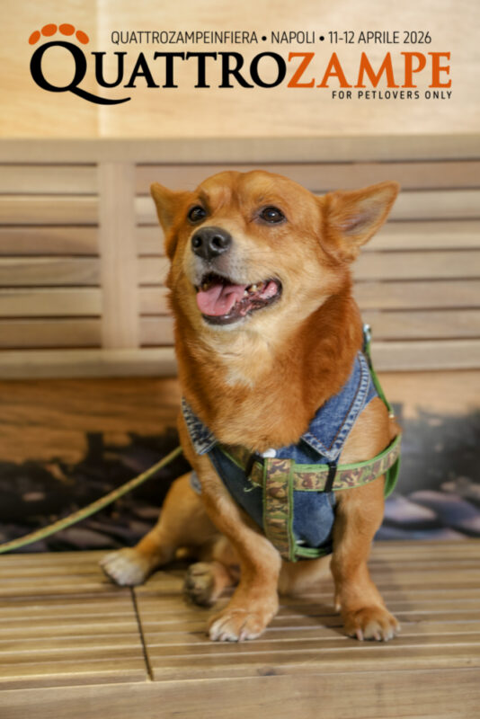 Concorso Fotografico - QuattroZampe in Fiera - Napoli - Aprile 2026