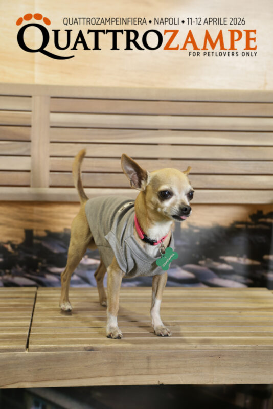 Concorso Fotografico - QuattroZampe in Fiera - Napoli - Aprile 2026