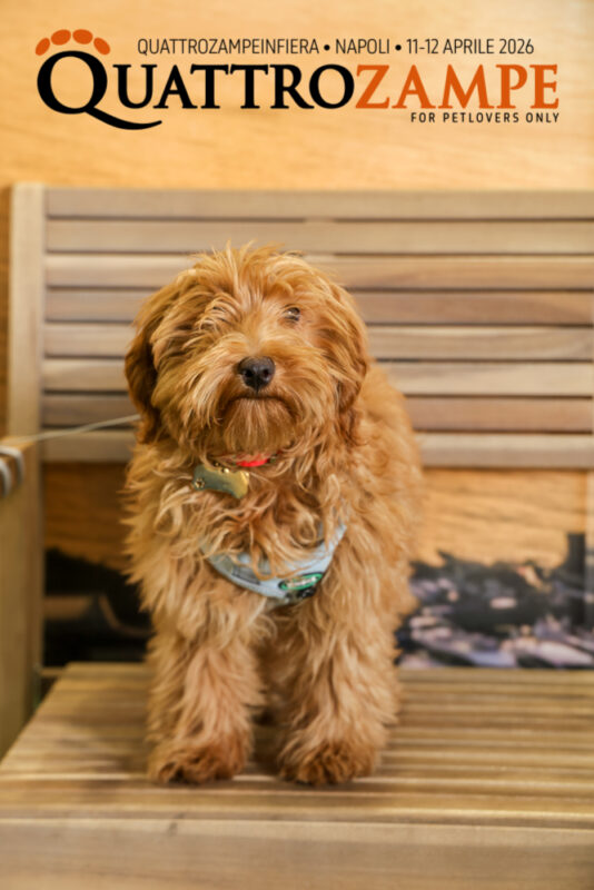 Concorso Fotografico - QuattroZampe in Fiera - Napoli - Aprile 2026