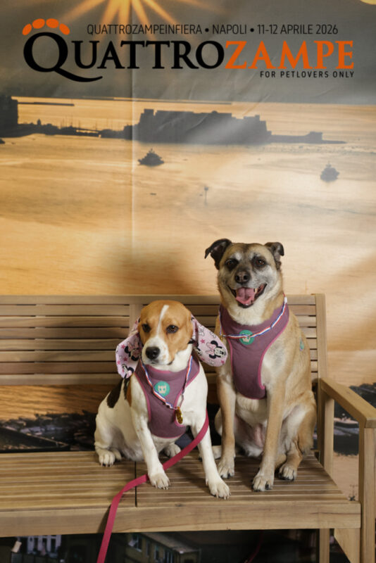 Concorso Fotografico - QuattroZampe in Fiera - Napoli - Aprile 2026