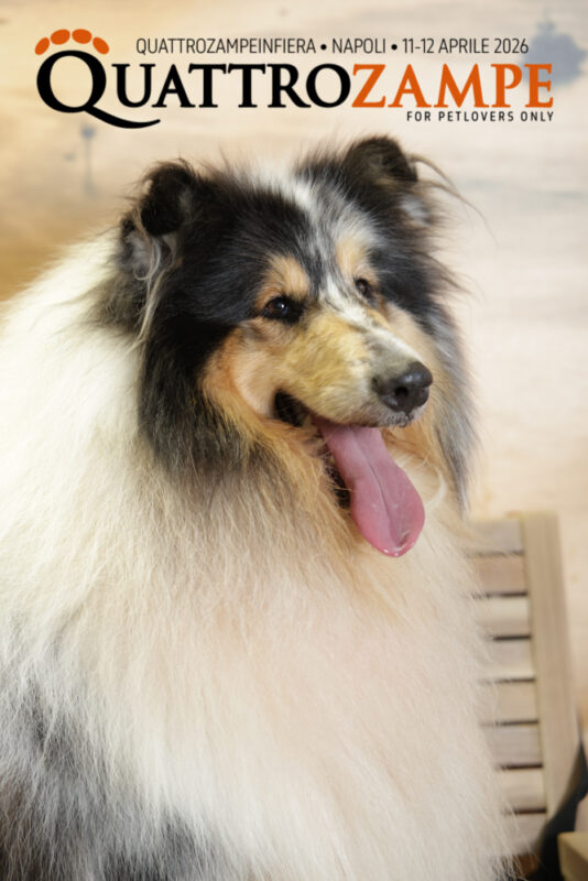 Concorso Fotografico - QuattroZampe in Fiera - Napoli - Aprile 2026