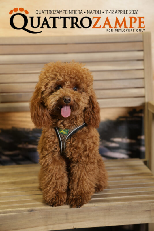 Concorso Fotografico - QuattroZampe in Fiera - Napoli - Aprile 2026