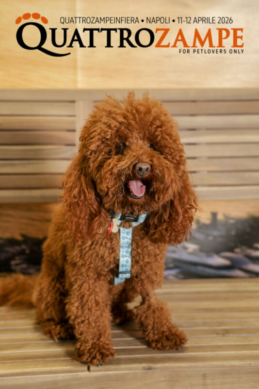 Concorso Fotografico - QuattroZampe in Fiera - Napoli - Aprile 2026