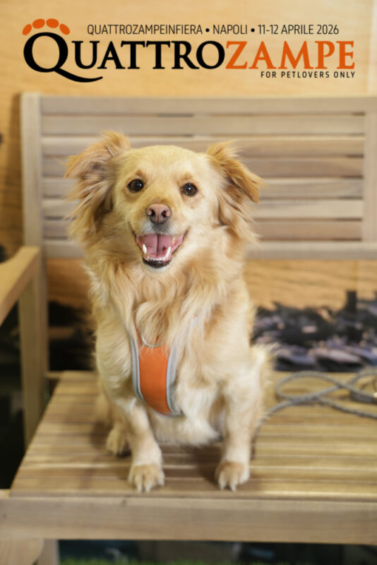 Concorso Fotografico - QuattroZampe in Fiera - Napoli - Aprile 2026