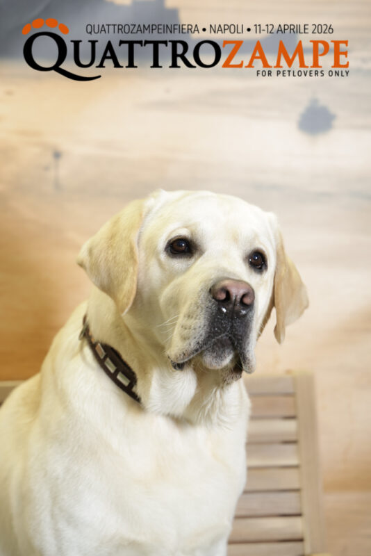 Concorso Fotografico - QuattroZampe in Fiera - Napoli - Aprile 2026