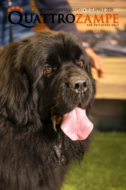 Concorso Fotografico - QuattroZampe in Fiera - Napoli - Aprile 2026