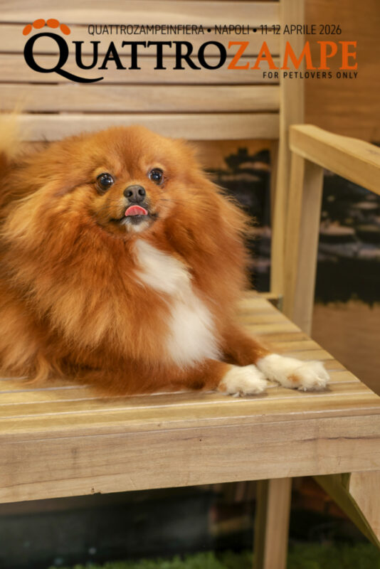 Concorso Fotografico - QuattroZampe in Fiera - Napoli - Aprile 2026