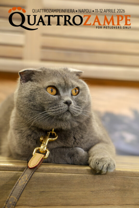 Concorso Fotografico - QuattroZampe in Fiera - Napoli - Aprile 2026