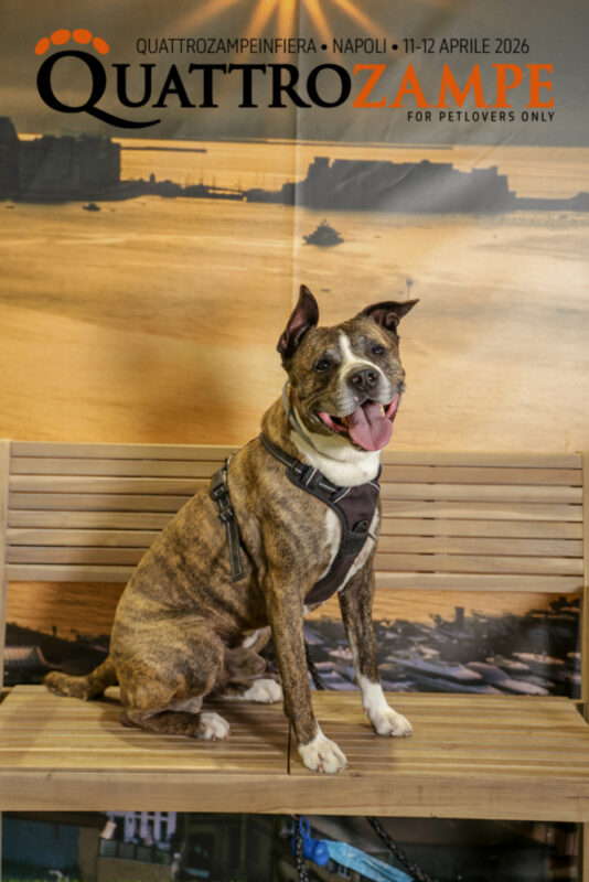 Concorso Fotografico - QuattroZampe in Fiera - Napoli - Aprile 2026