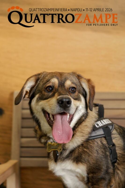 Concorso Fotografico - QuattroZampe in Fiera - Napoli - Aprile 2026