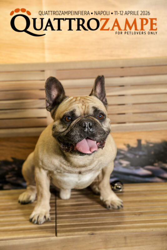 Concorso Fotografico - QuattroZampe in Fiera - Napoli - Aprile 2026