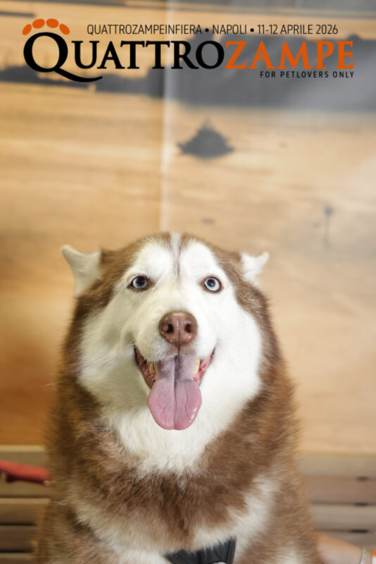 Concorso Fotografico - QuattroZampe in Fiera - Napoli - Aprile 2026