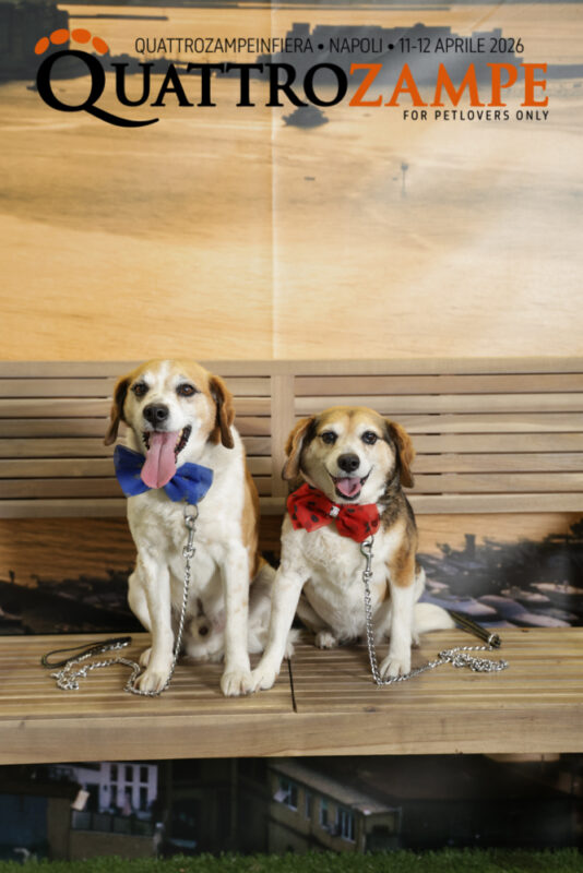 Concorso Fotografico - QuattroZampe in Fiera - Napoli - Aprile 2026