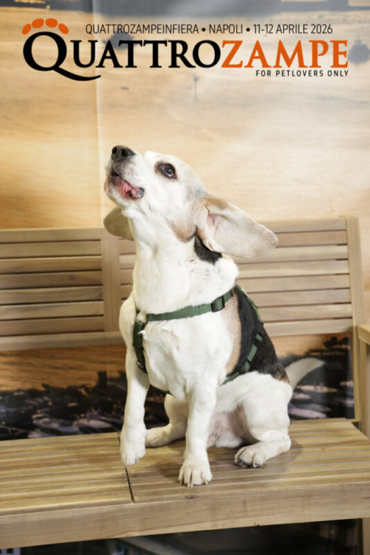 Concorso Fotografico - QuattroZampe in Fiera - Napoli - Aprile 2026
