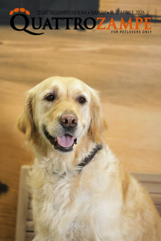 Concorso Fotografico - QuattroZampe in Fiera - Napoli - Aprile 2026