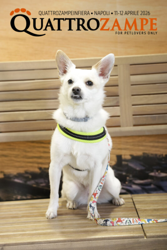Concorso Fotografico - QuattroZampe in Fiera - Napoli - Aprile 2026