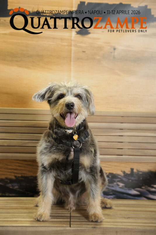 Concorso Fotografico - QuattroZampe in Fiera - Napoli - Aprile 2026