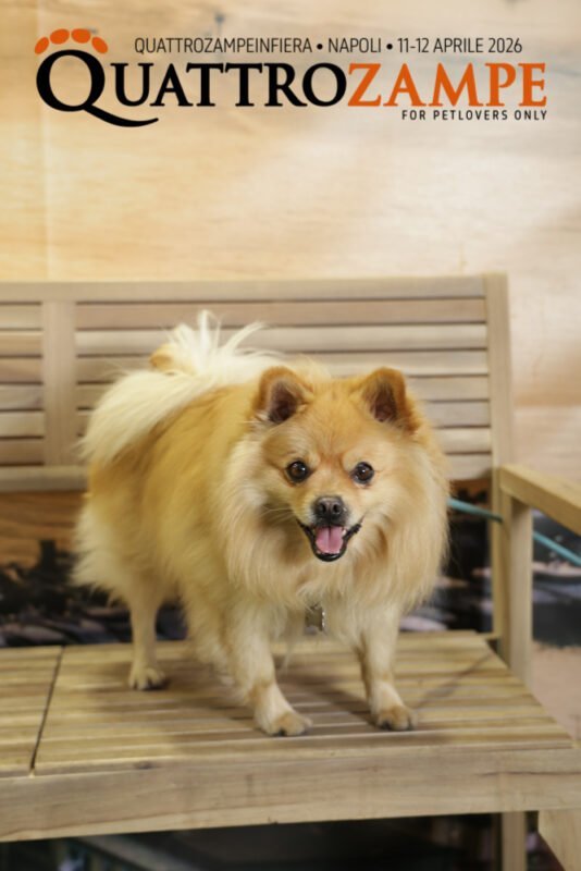 Concorso Fotografico - QuattroZampe in Fiera - Napoli - Aprile 2026