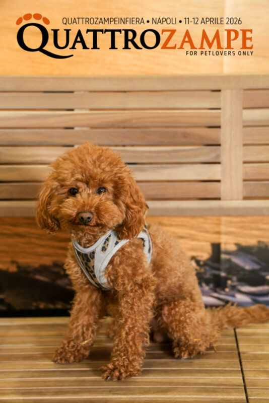Concorso Fotografico - QuattroZampe in Fiera - Napoli - Aprile 2026