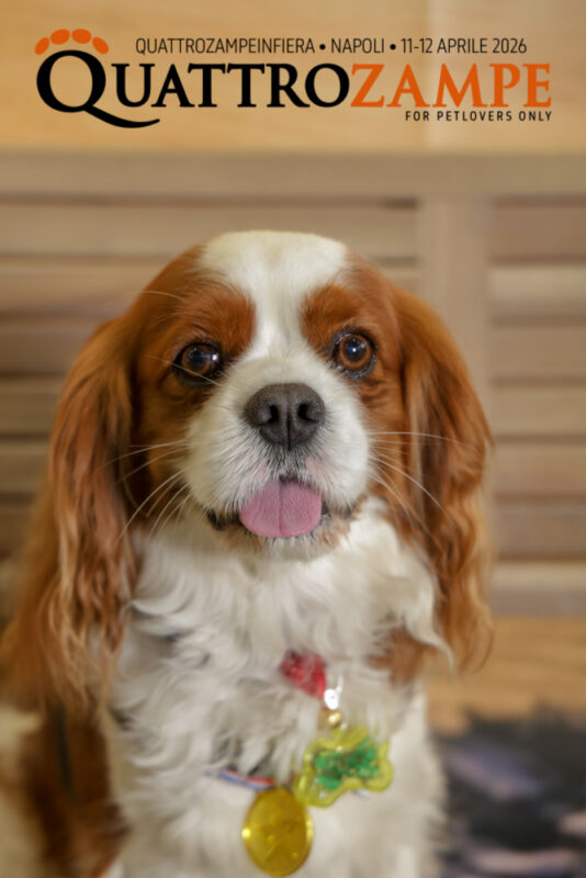 Concorso Fotografico - QuattroZampe in Fiera - Napoli - Aprile 2026