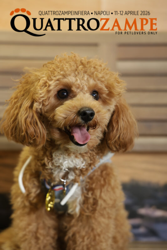 Concorso Fotografico - QuattroZampe in Fiera - Napoli - Aprile 2026