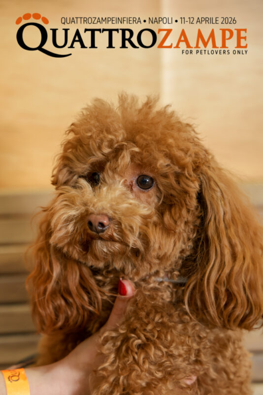 Concorso Fotografico - QuattroZampe in Fiera - Napoli - Aprile 2026