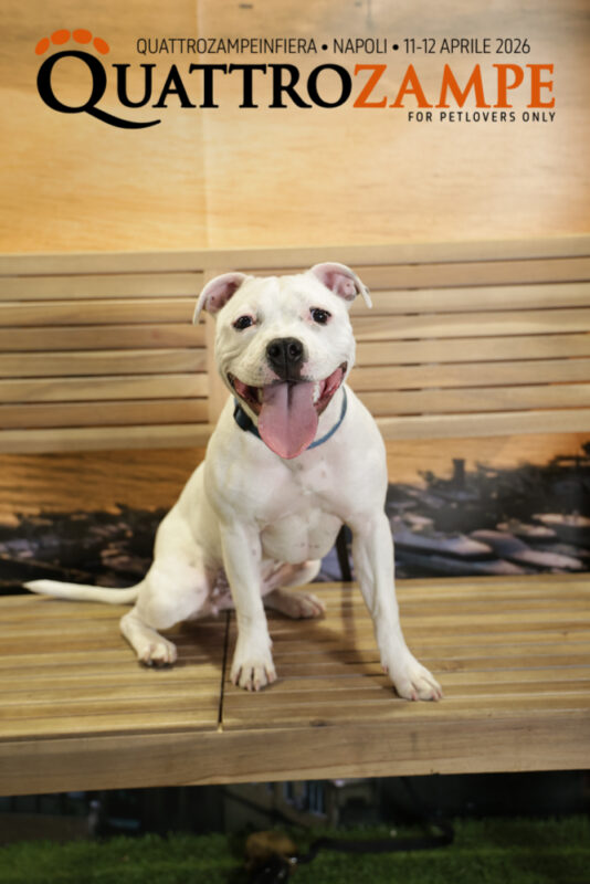 Concorso Fotografico - QuattroZampe in Fiera - Napoli - Aprile 2026