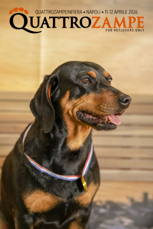 Concorso Fotografico - QuattroZampe in Fiera - Napoli - Aprile 2026