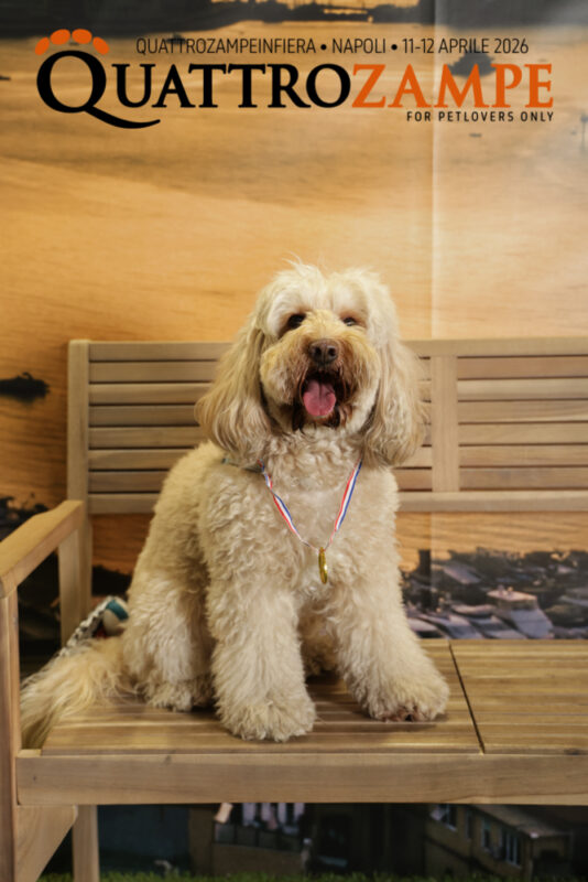 Concorso Fotografico - QuattroZampe in Fiera - Napoli - Aprile 2026