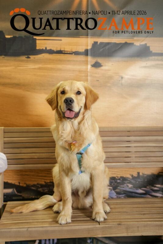 Concorso Fotografico - QuattroZampe in Fiera - Napoli - Aprile 2026