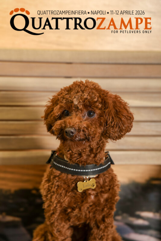 Concorso Fotografico - QuattroZampe in Fiera - Napoli - Aprile 2026